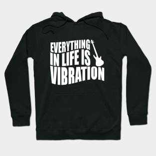 EVERYTHING IN LIFE IS VIBRATION funny bassist gift Hoodie